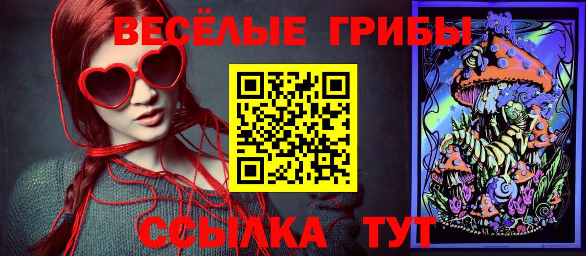 Партизанск  Псилоцибиновые грибы мицелий  Вход с VPN 